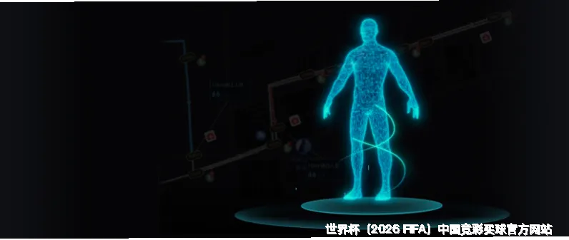 历史命中率展示